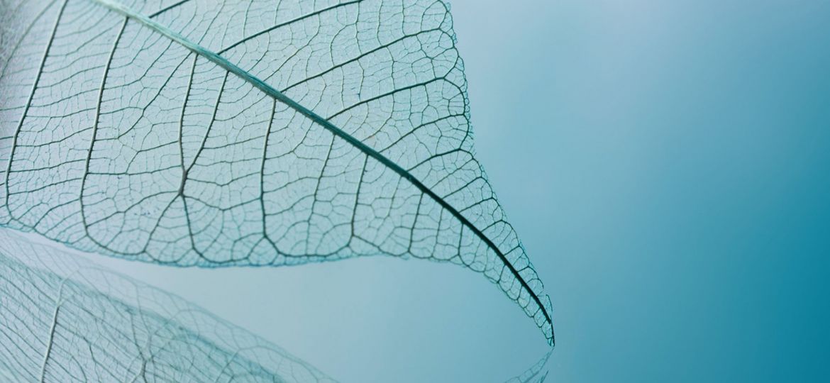 Compromís amb la sostenibilitat en el sector de la neteja