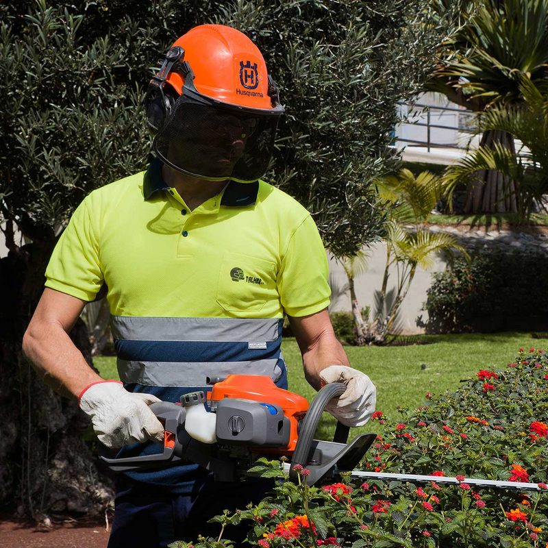 Serveis de jardineria per a empreses a Catalunya